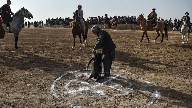 El Buzkashi