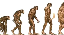 Timeline: Proceso de Hominización Iulia