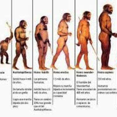 Timeline: Proceso de Hominización Juan