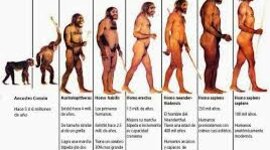 Timeline: Proceso de Hominización Juan