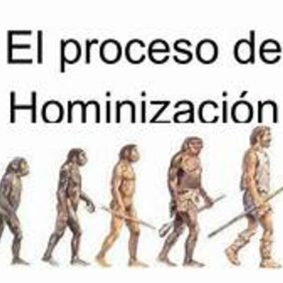 Timeline: proceso de hominizacón ayoub