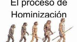 Timeline: proceso de hominizacón ayoub