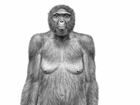 ARDIPITHECUS