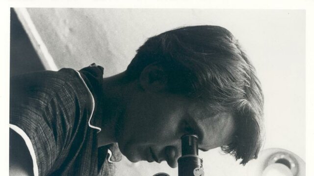 CIÈNCIA I SOCIETAT DE LA SEVA ÈPOCA