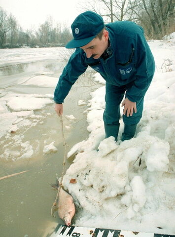 Derrame de cianuro de Rumania