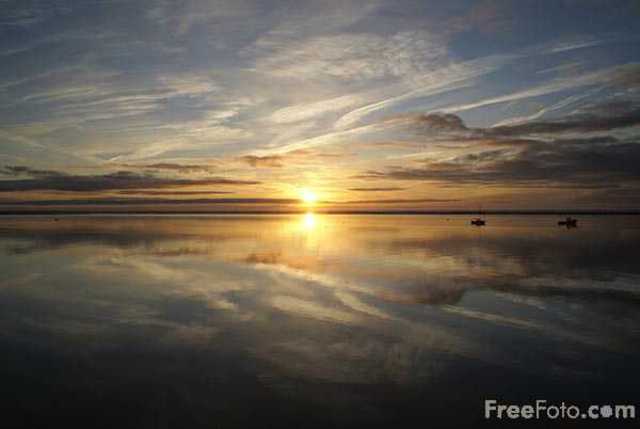 Prof. Sherman is found in the Atlantic Ocean