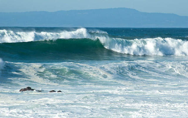 Swimming with Mr.F #2