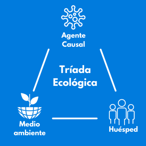 Modelo Multicausal (Ecológico)