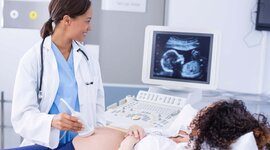 Timeline: Pathway to Future