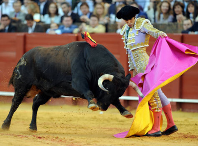 Bullfighting