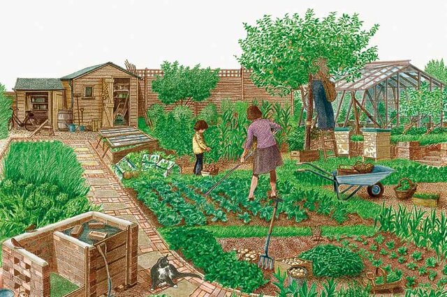 NEKAZARI IZATEAREN ZAILTASUNAK