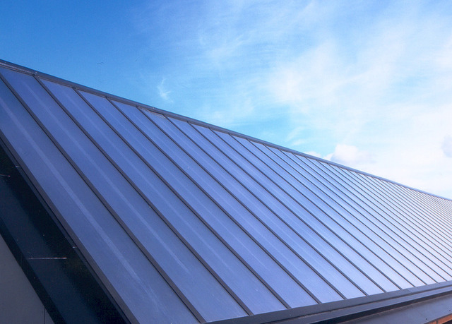 Convinced legislature to invest in solar power and hydrogen cars