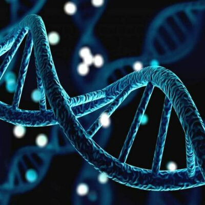 Timeline: Hitos históricos del descubrimiento del ADN