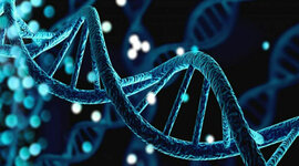 Timeline: Hitos históricos del descubrimiento del ADN