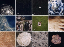 Powers of Ten, Charles y Ray Eames