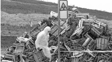 Desastre nuclear Chernobyl