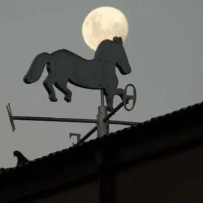 Timeline: Orígenes de Caballito