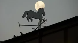 Timeline: Orígenes de Caballito