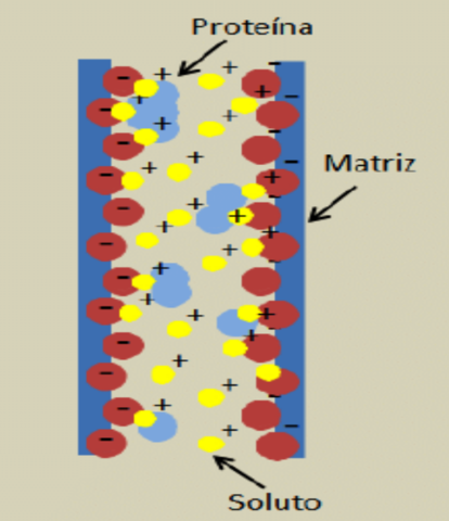 Holmes y Adams “Síntesis de resinas orgánicas”