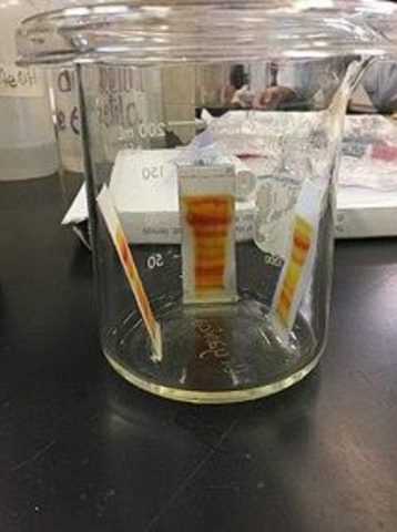 Izmailov y Scharaiber “Descripción de la cromatografía en capa fina”