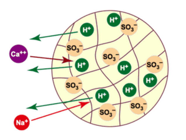 Comisión de Energía Atómica de EUA “Cromatografía de intercambio iónico”