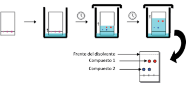 Kirchner “Cromatografía de capa fina”