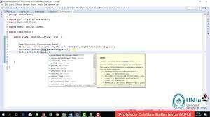 JAVA ENTRA A LA RED Y APARICIÓN DE INTERNET EXPLORE
