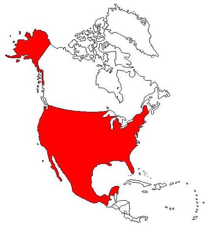 Named "Protector for Life of the Federated States of Burnistan"