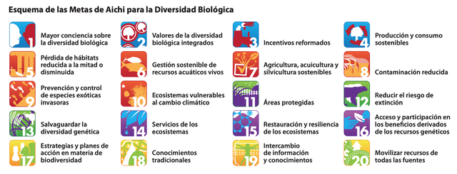 20 Metas Aichi para la Biodiversidad Biológica