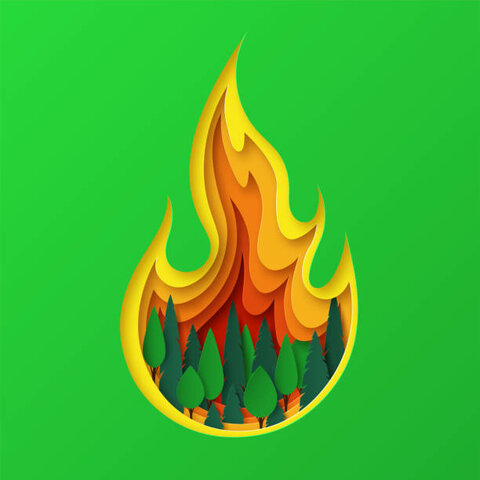 incendios forestales