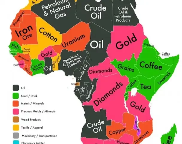 The Berlin Conference (1884- 1885)