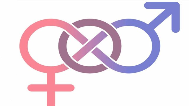 Aparición de la teoría queer