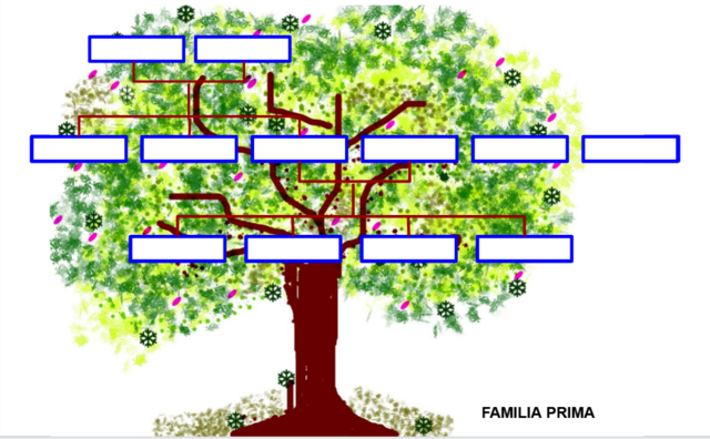 What a great family!