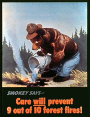 The Creation of Smokey Bear