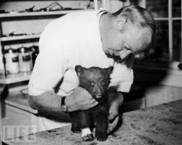 The Real Smokey Bear