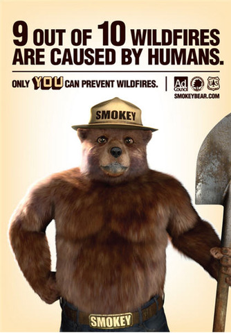 Revamped Smokey Bear