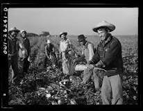 Bracero program