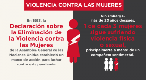 Declaración sobre la Eliminación de la Violencia contra las mujeres.