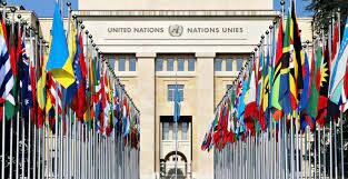 Creación de otros organismos internacionales