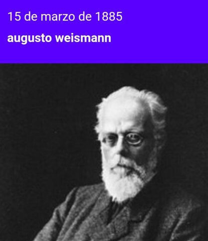 1893 AUGUST WEISMANN: TEORÍA PLASMÁTICA- GERMINATIVA