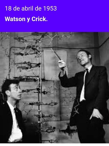 1953 DESCRIPCIÓN DEL ADN