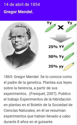 1865 MENDEL DESCUBRE LOS PRINCIPIOS BÁSICOS DE LA HERENCIA