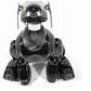 aibo ears-7