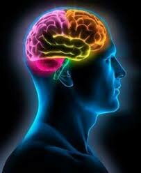 Aportes de la Biología, Medicina & Farmacología