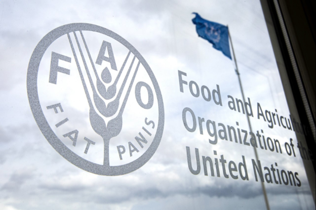 Creación de la FAO