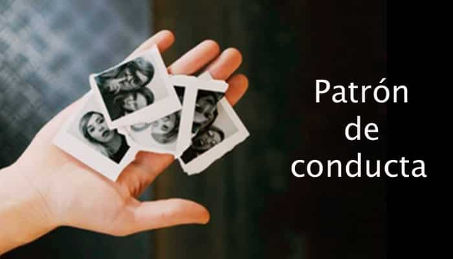 Patrones característicos de conducta