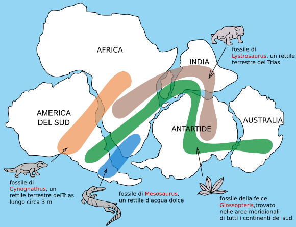 A. Wegener: "L'origine dei continenti e degli oceani "-