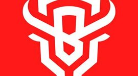 Timeline: BISONS ECLUB