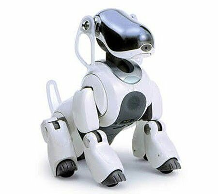 14: Aibo
