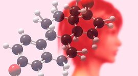 Timeline: Розклад